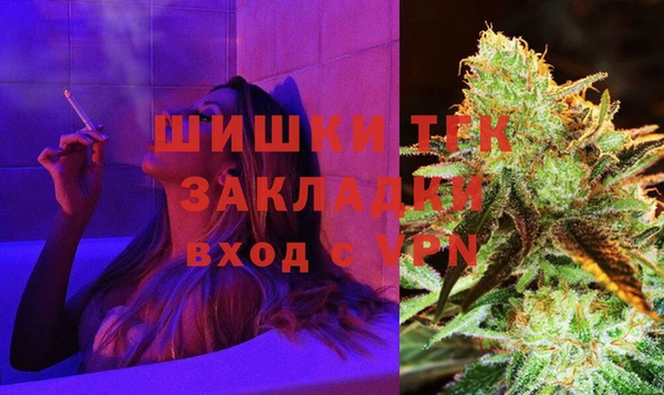 СК Алексин
