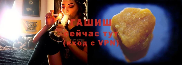 СК Алексин