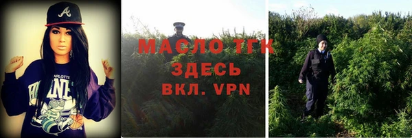 СК Алексин