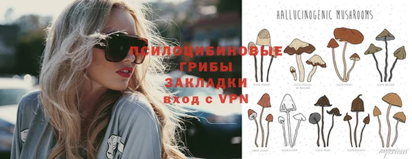 СК Алексин