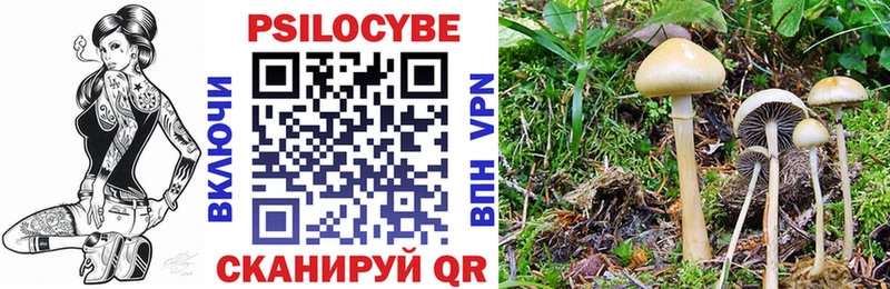 Псилоцибиновые грибы Psilocybine cubensis  mega вход  Елабуга 